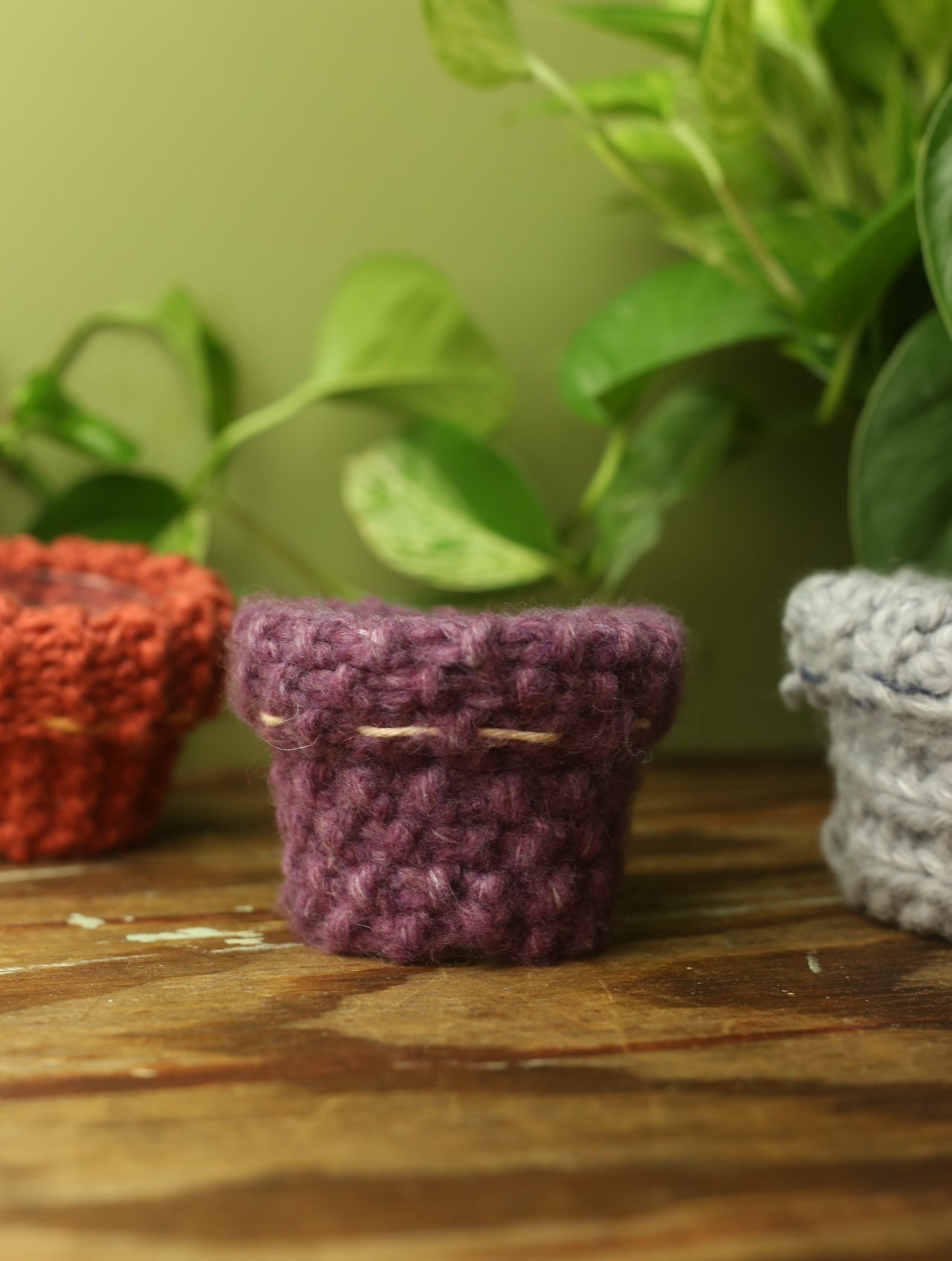 Plant Sweaters 2.5 inch