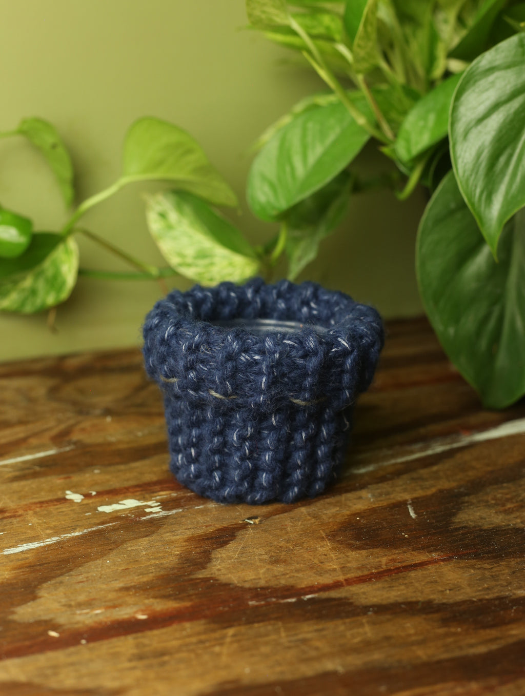 Plant Sweater 3 inch
