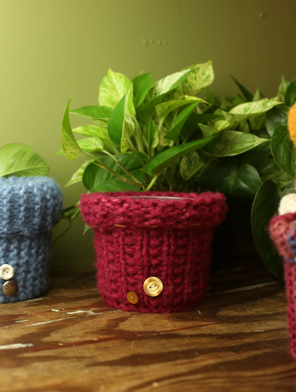 Plant Sweaters 5 inch