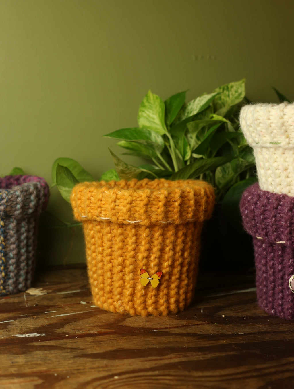 Plant Sweaters 6 inch