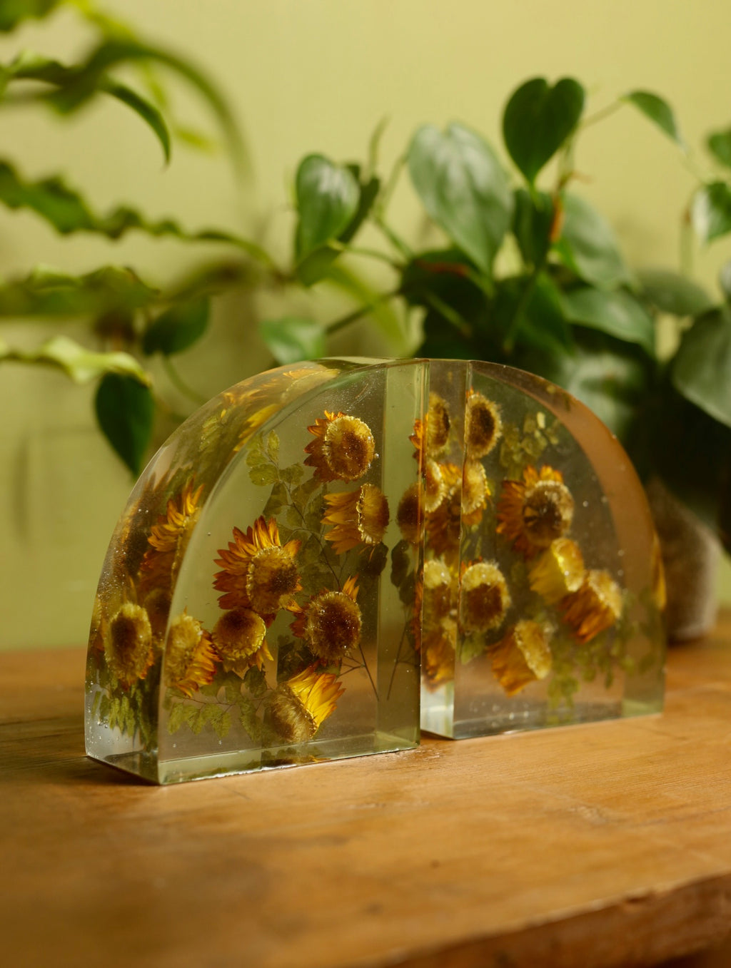 Strawflower Resin Bookends
