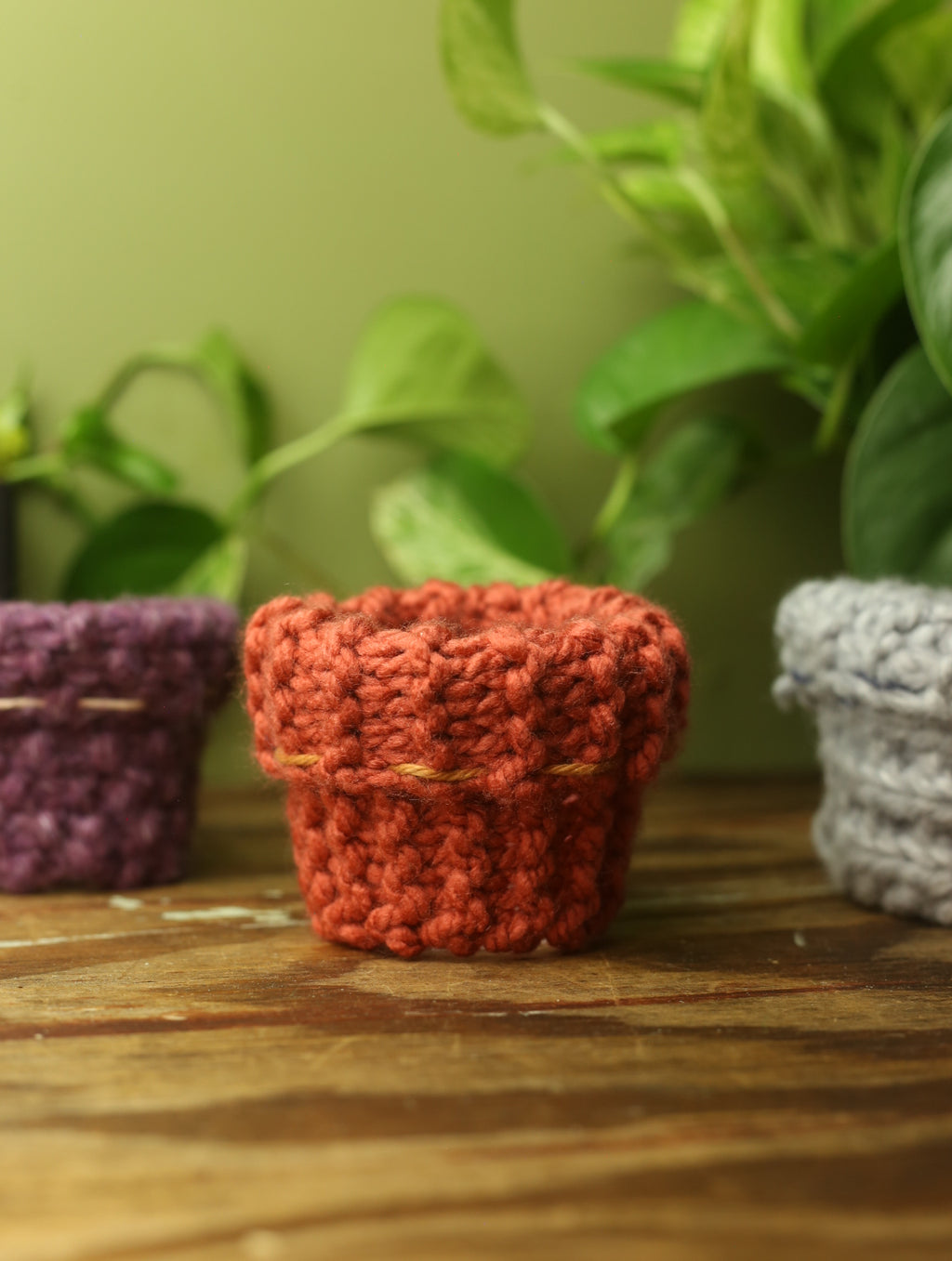 Plant Sweaters 2.5 inch
