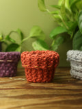 Plant Sweaters 2.5 inch