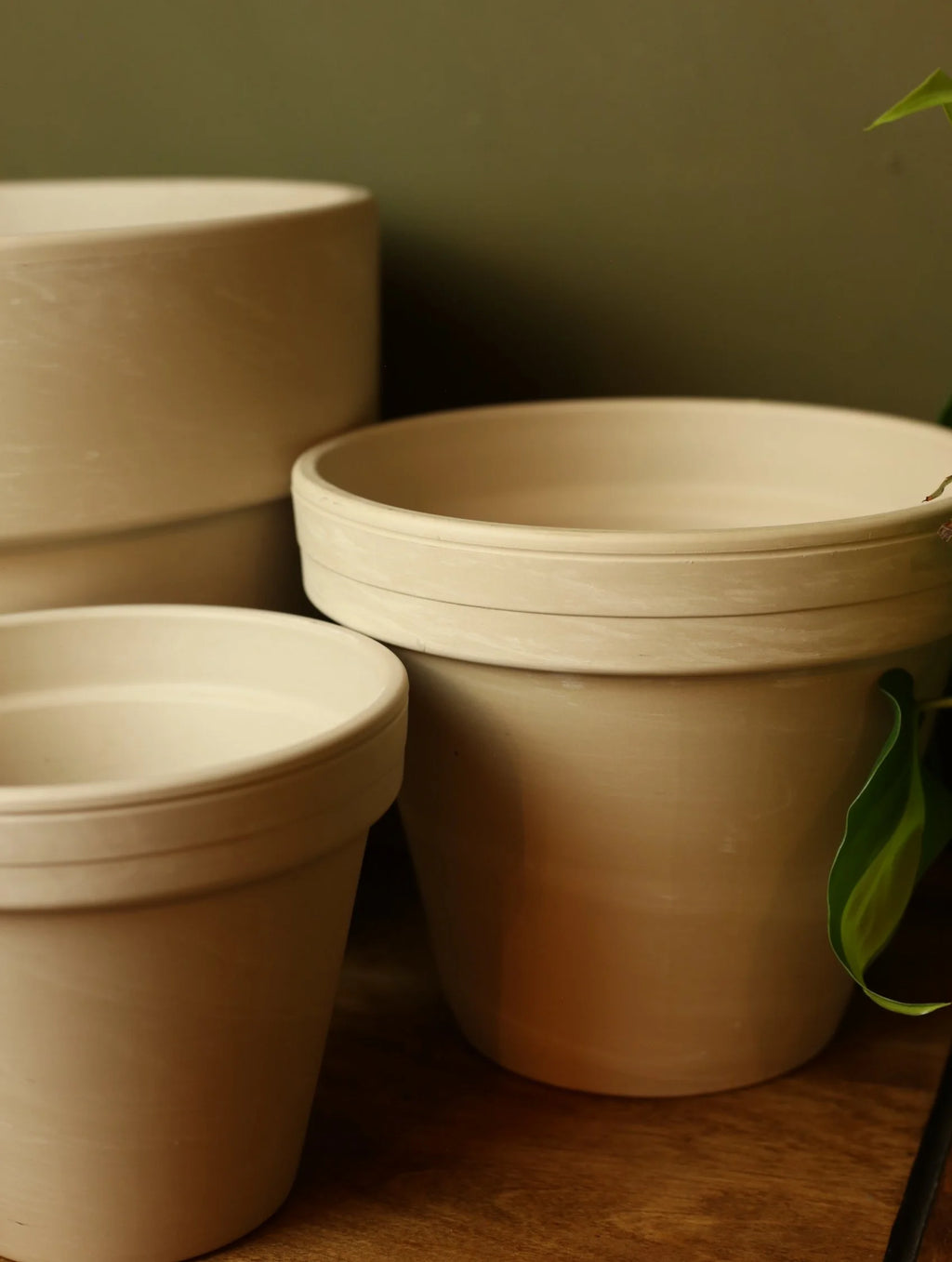 Cream Plant Pots