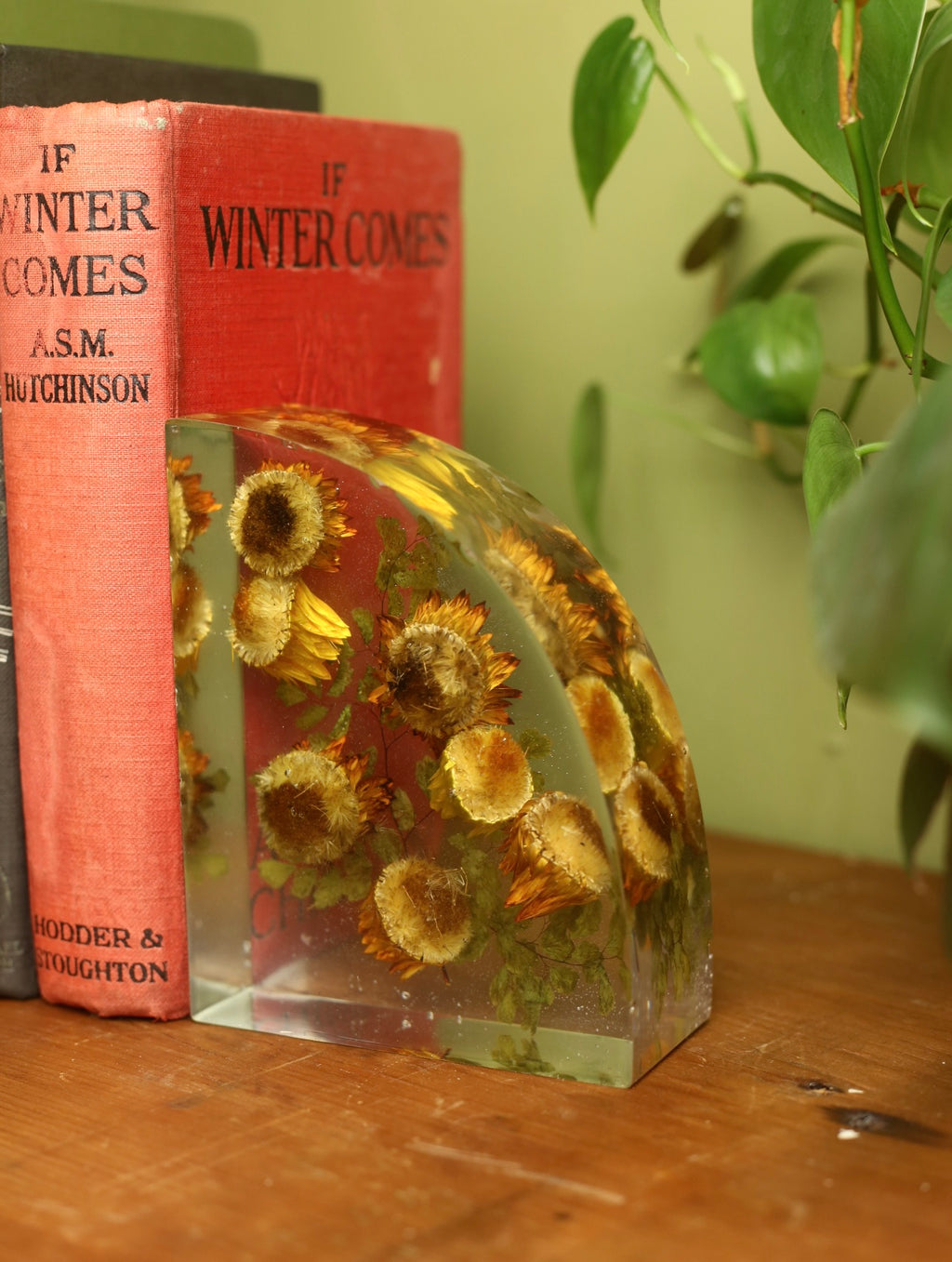 Strawflower Resin Bookends