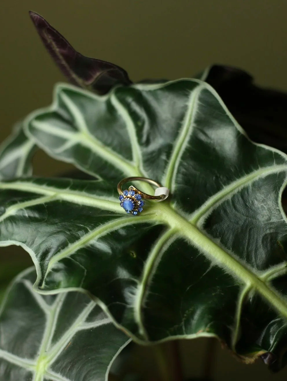 Blue Gem Sunburst Gold Tone Adjustable Ring