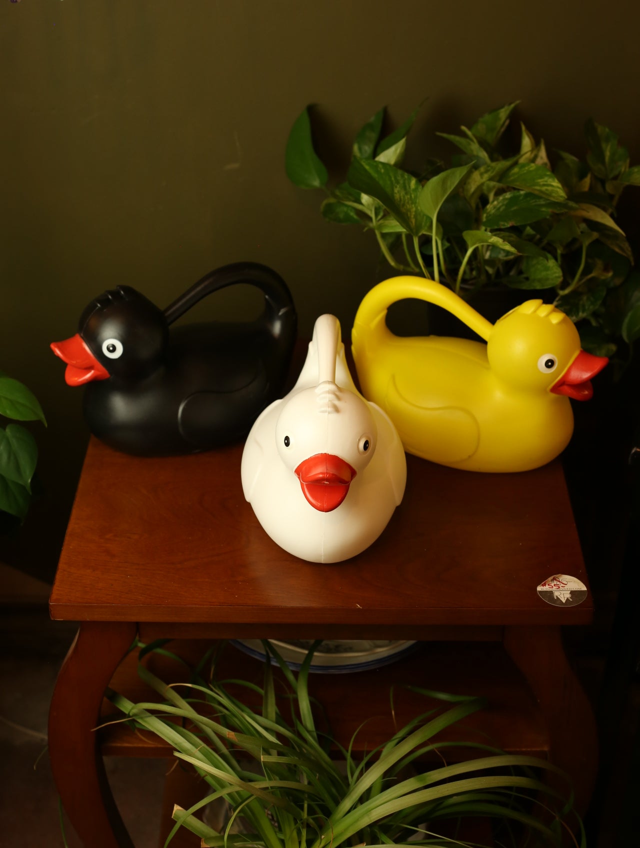 Duck Watering Can