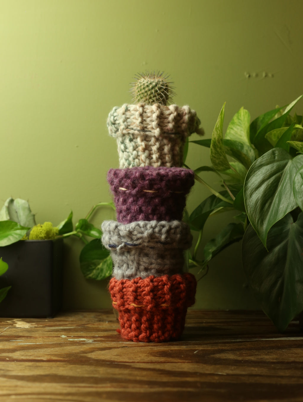 Plant Sweaters 2.5 inch