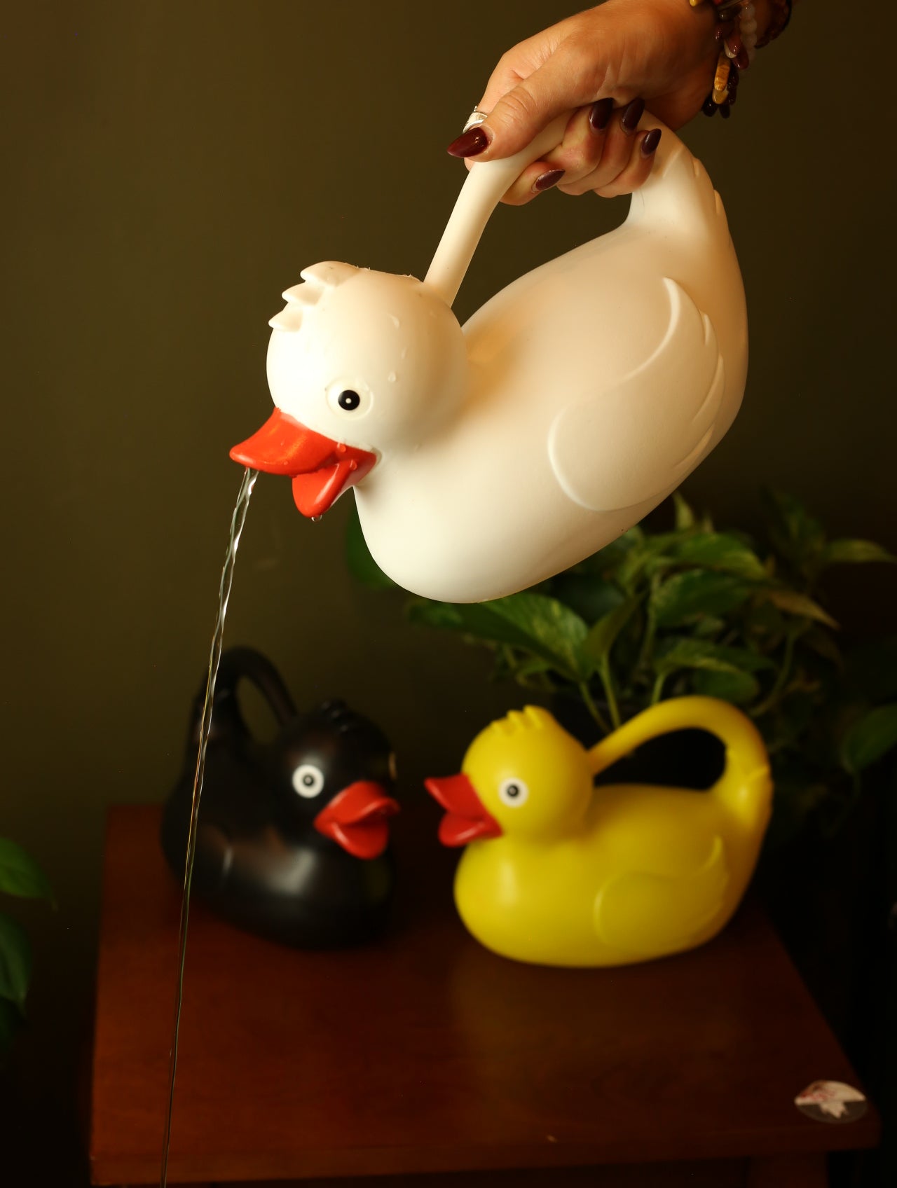 Duck Watering Can