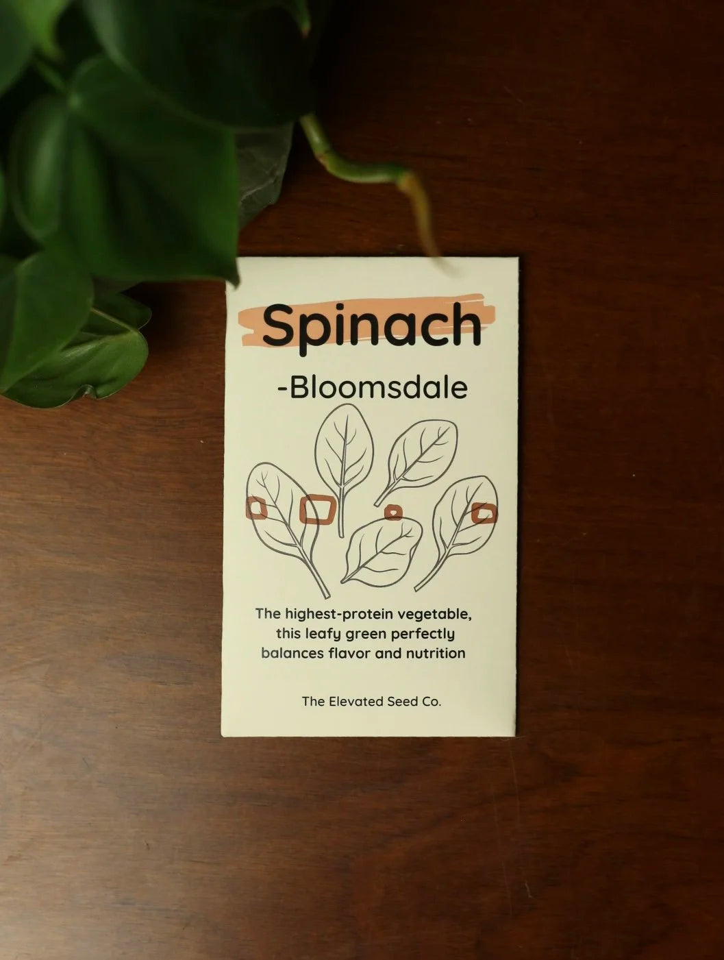 Spinach Seeds - Bloomsdale