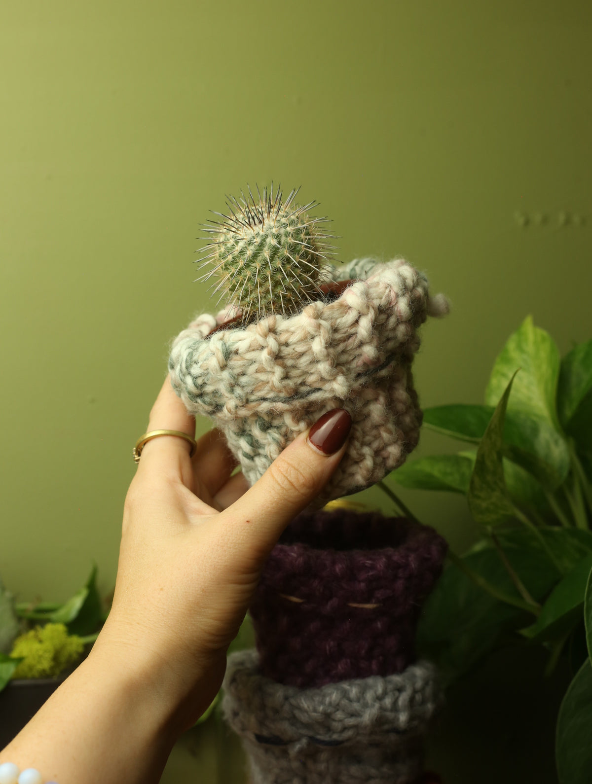 Plant Sweaters 2.5 inch