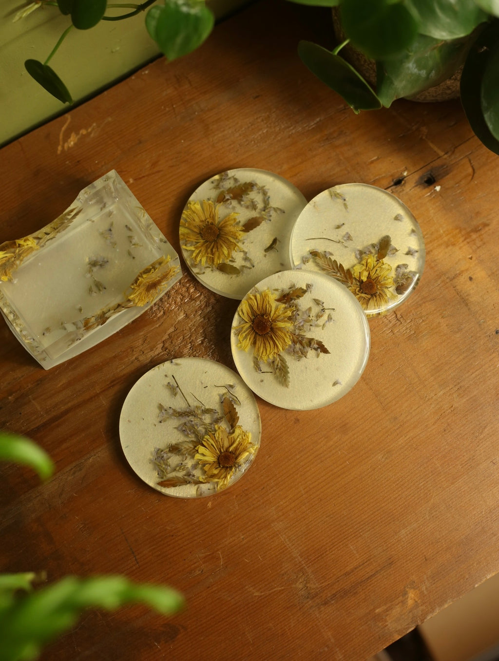 Dried Floral Pearlescent Coaster Set