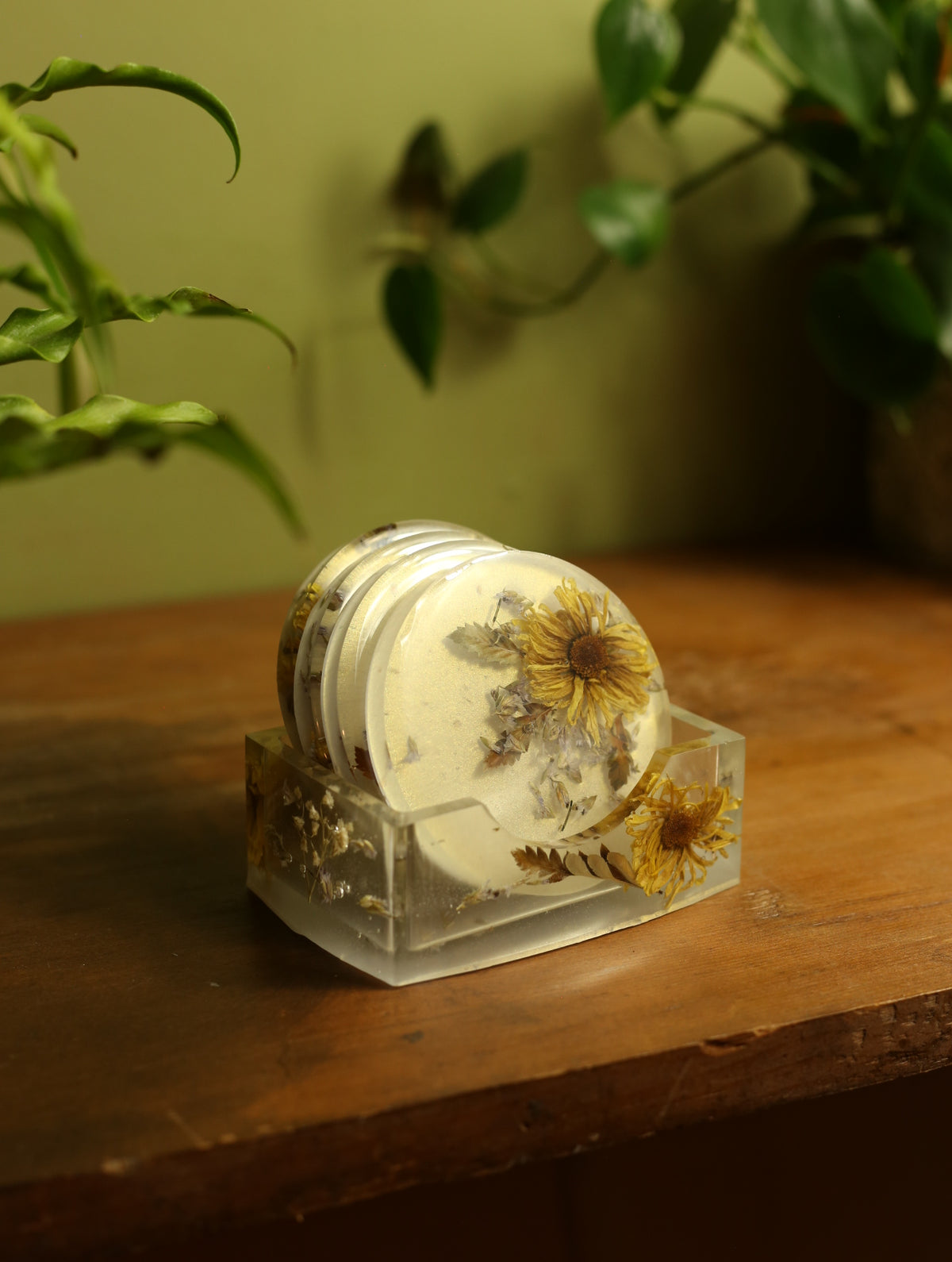 Dried Floral Pearlescent Coaster Set