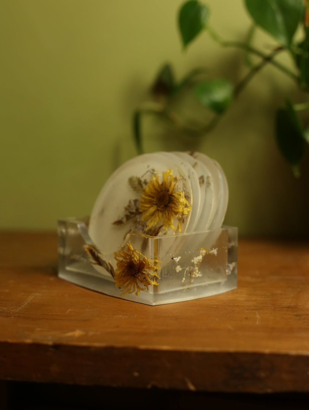 Dried Floral Pearlescent Coaster Set
