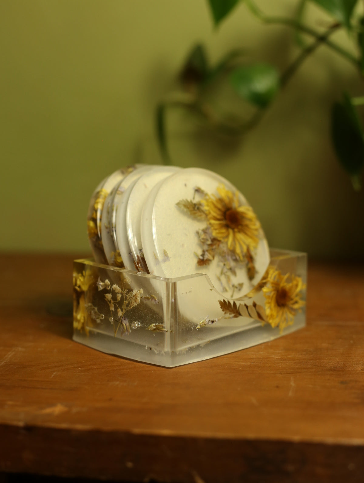 Dried Floral Pearlescent Coaster Set