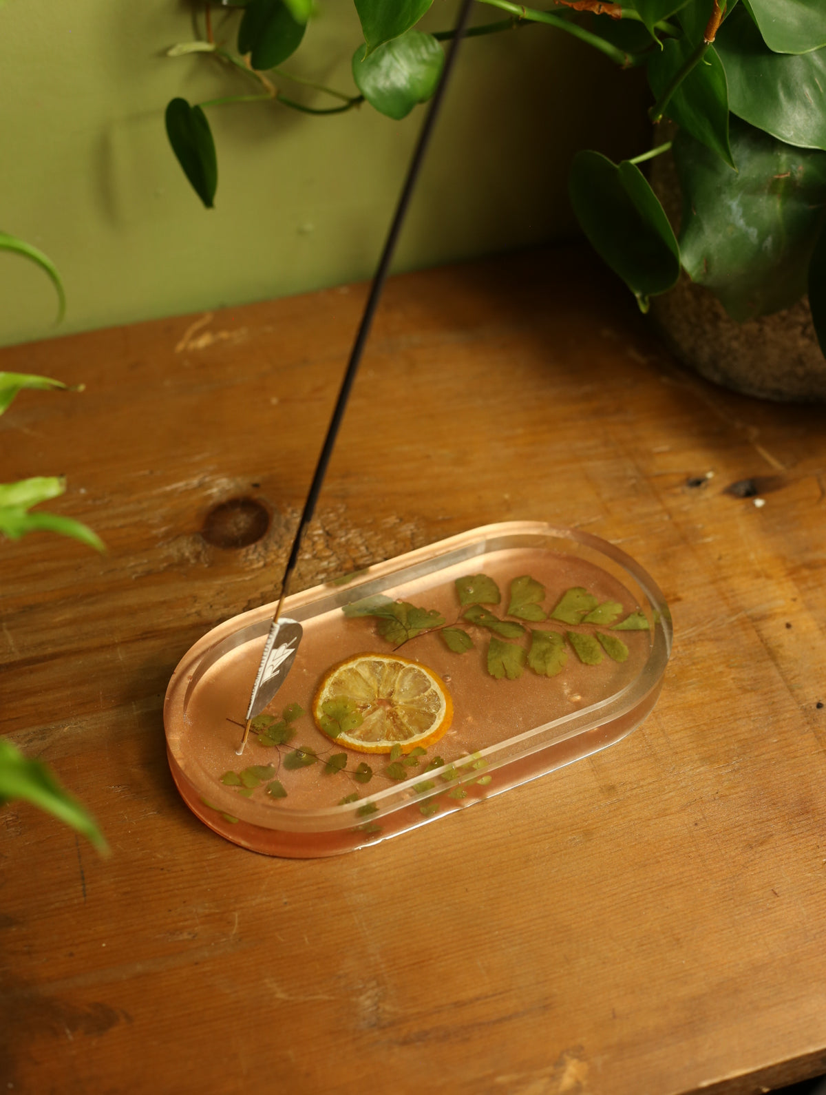 Lemon Slice & Fern Incense Holder
