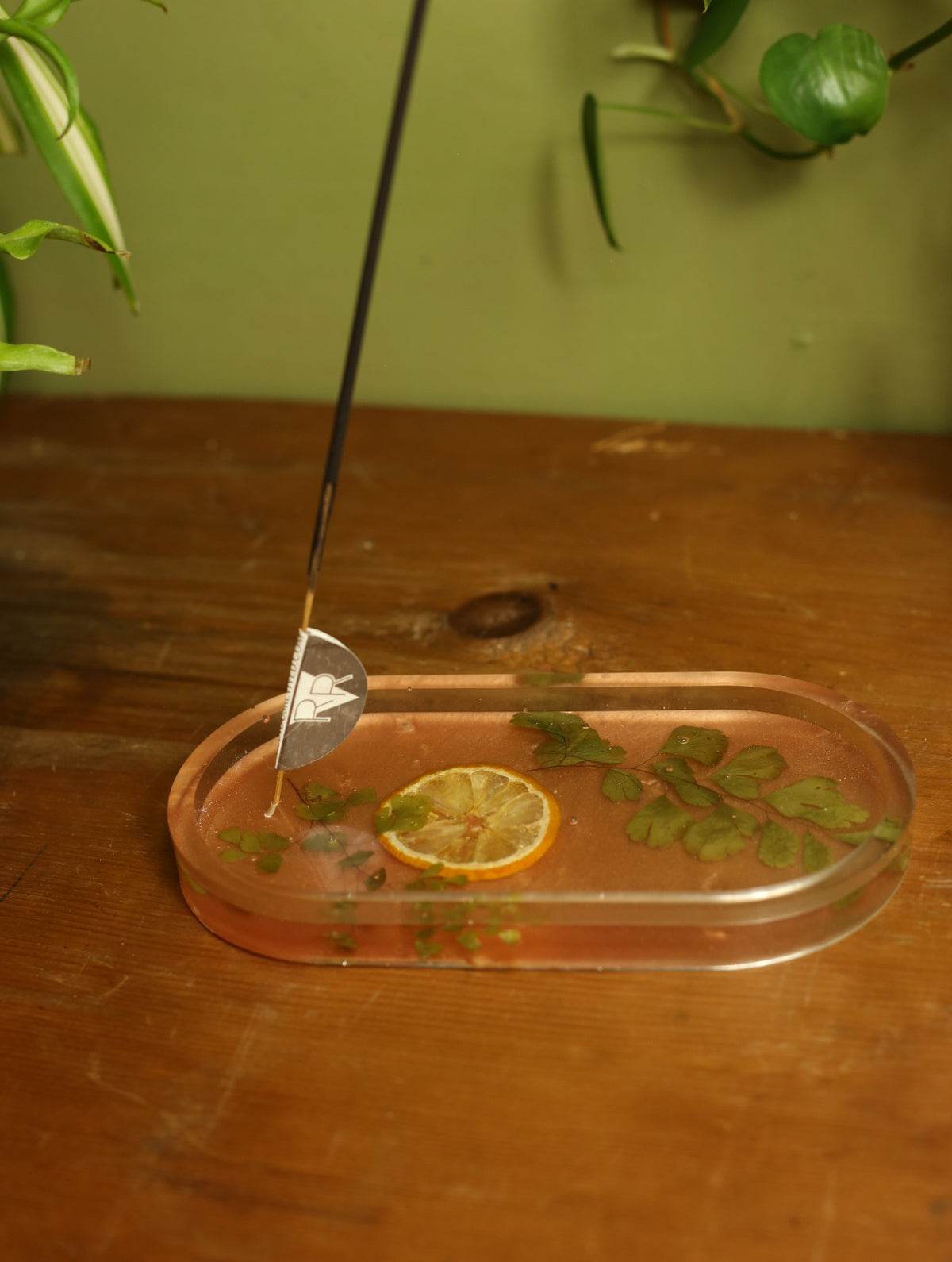 Lemon Slice & Fern Incense Holder