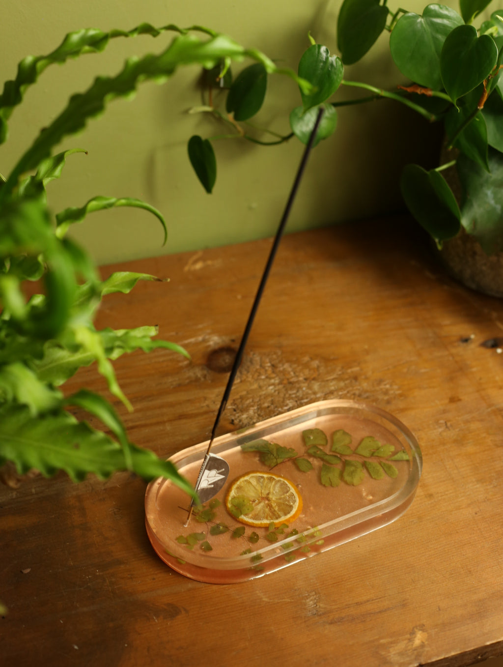 Lemon Slice & Fern Incense Holder