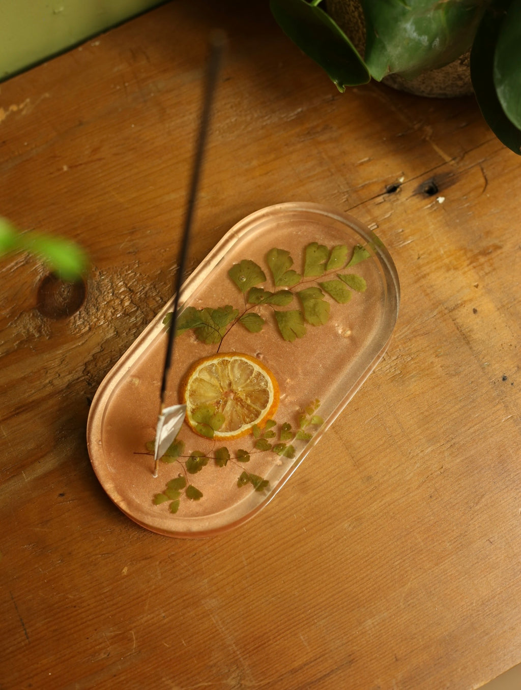 Lemon Slice & Fern Incense Holder