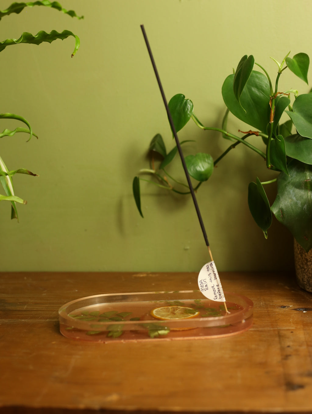 Lemon Slice & Fern Incense Holder