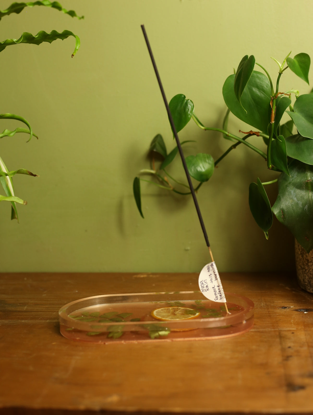 Lemon Slice & Fern Incense Holder