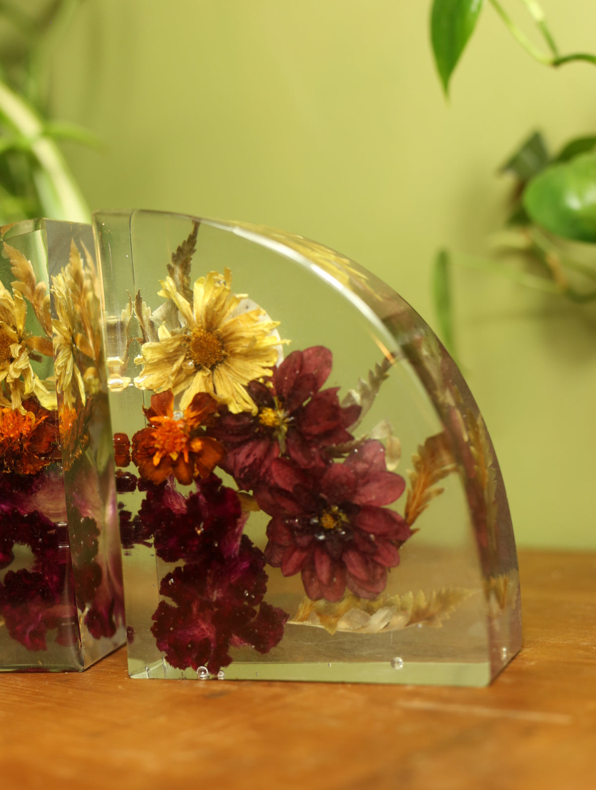 Dried Dahila & Mixed Flower Bookends