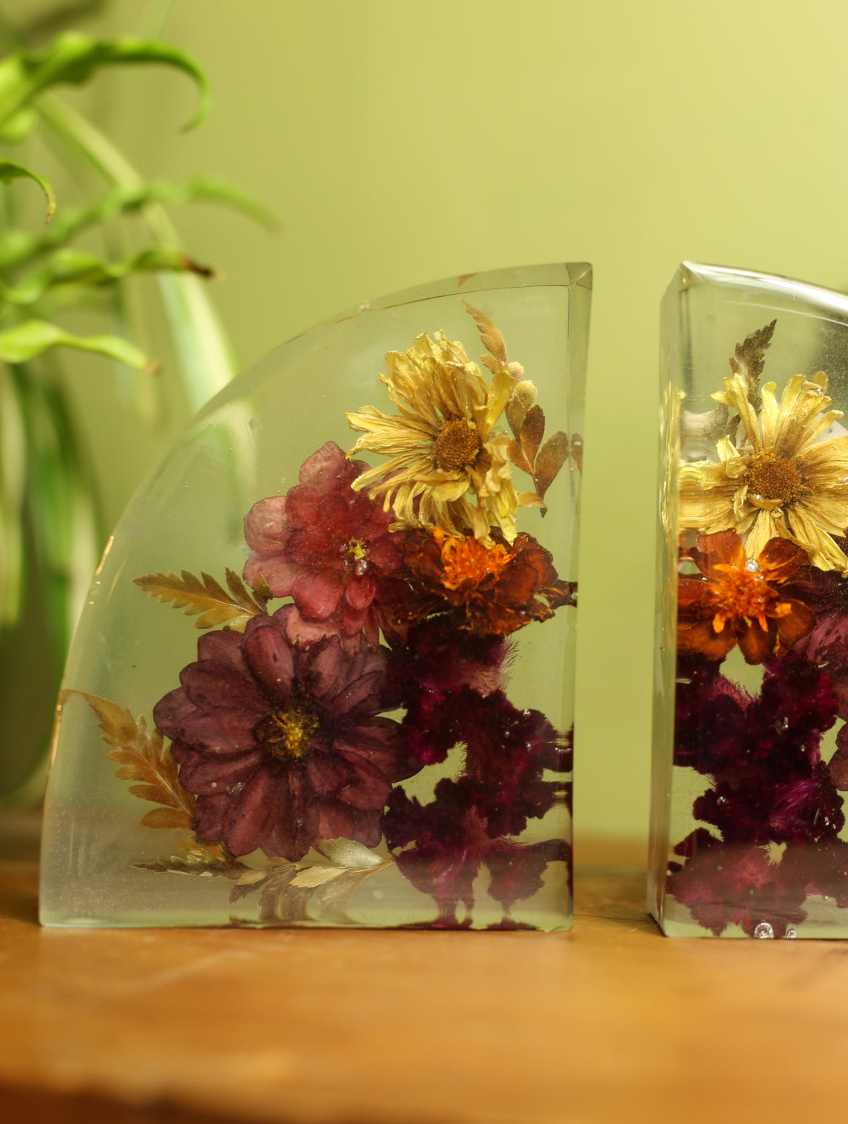 Dried Dahila & Mixed Flower Bookends