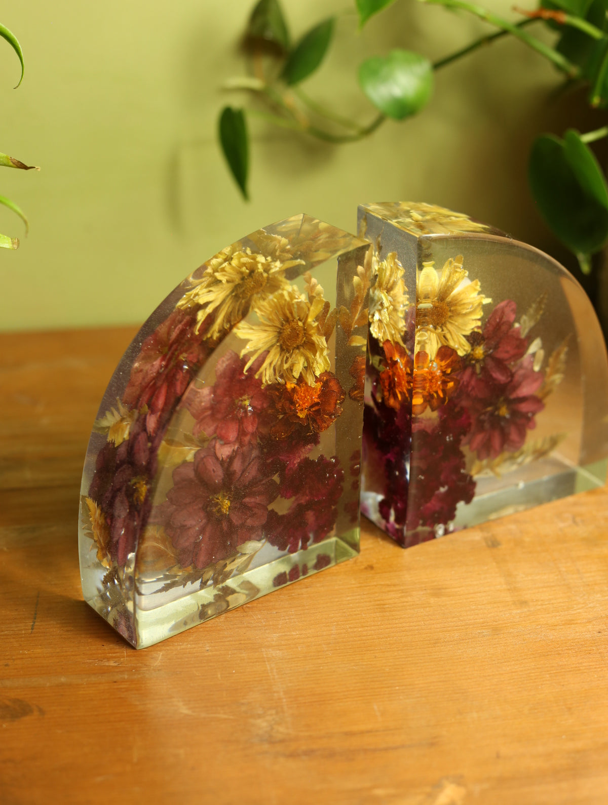 Dried Dahila & Mixed Flower Bookends