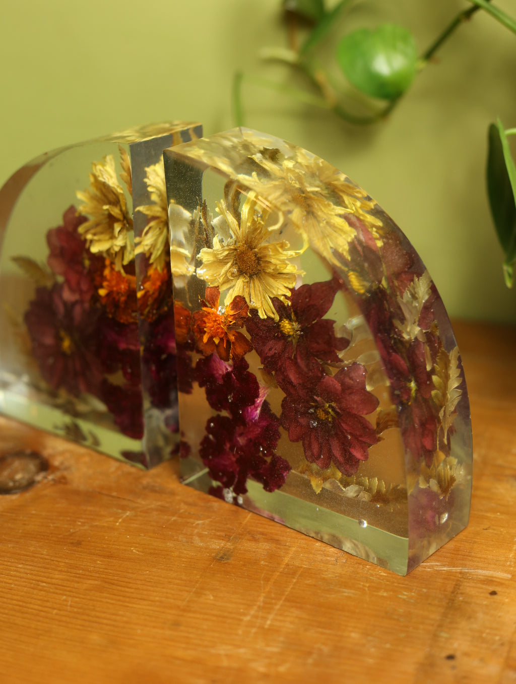 Dried Dahila & Mixed Flower Bookends