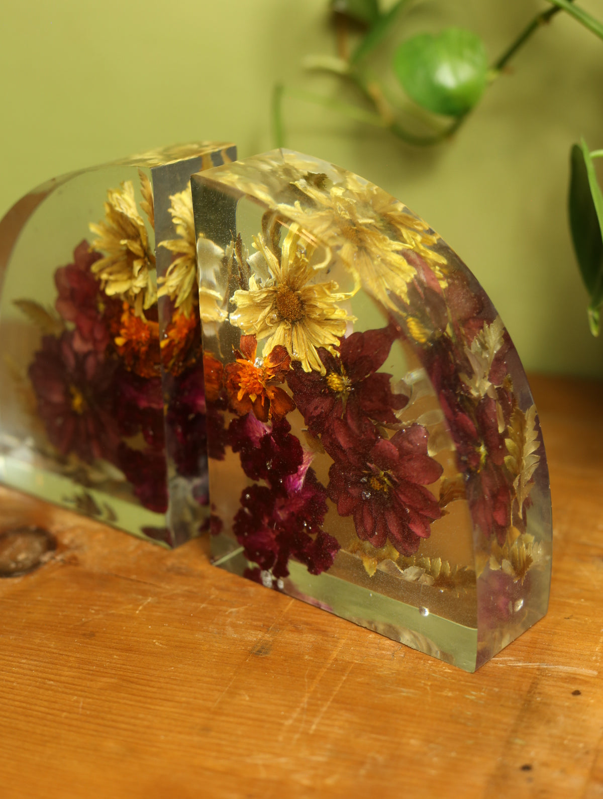 Dried Dahila & Mixed Flower Bookends